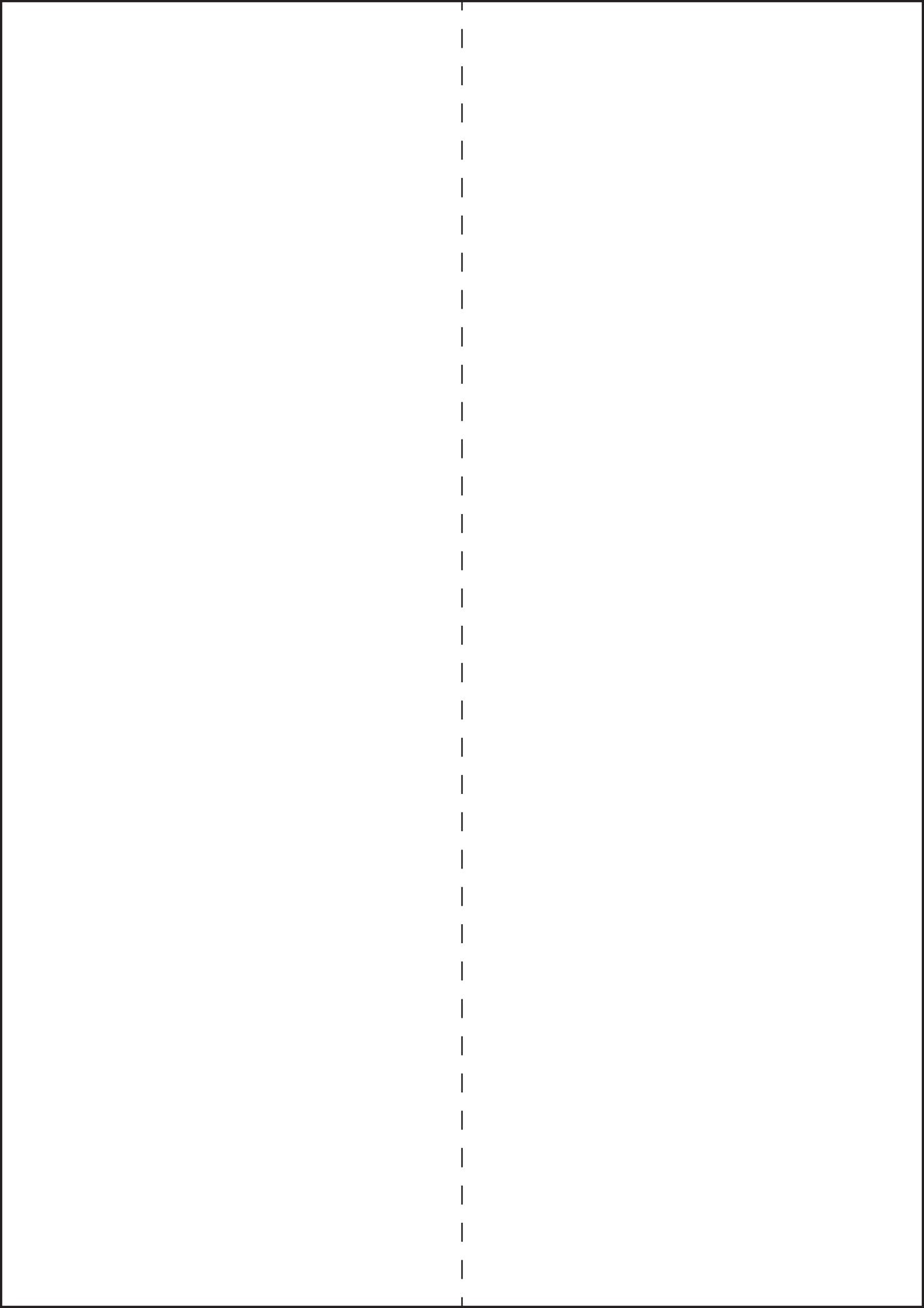 ValueX Multipurpose Label 210x297mm 1 Per A4 Sheet White (Pack 100 Labels) - 15320SM