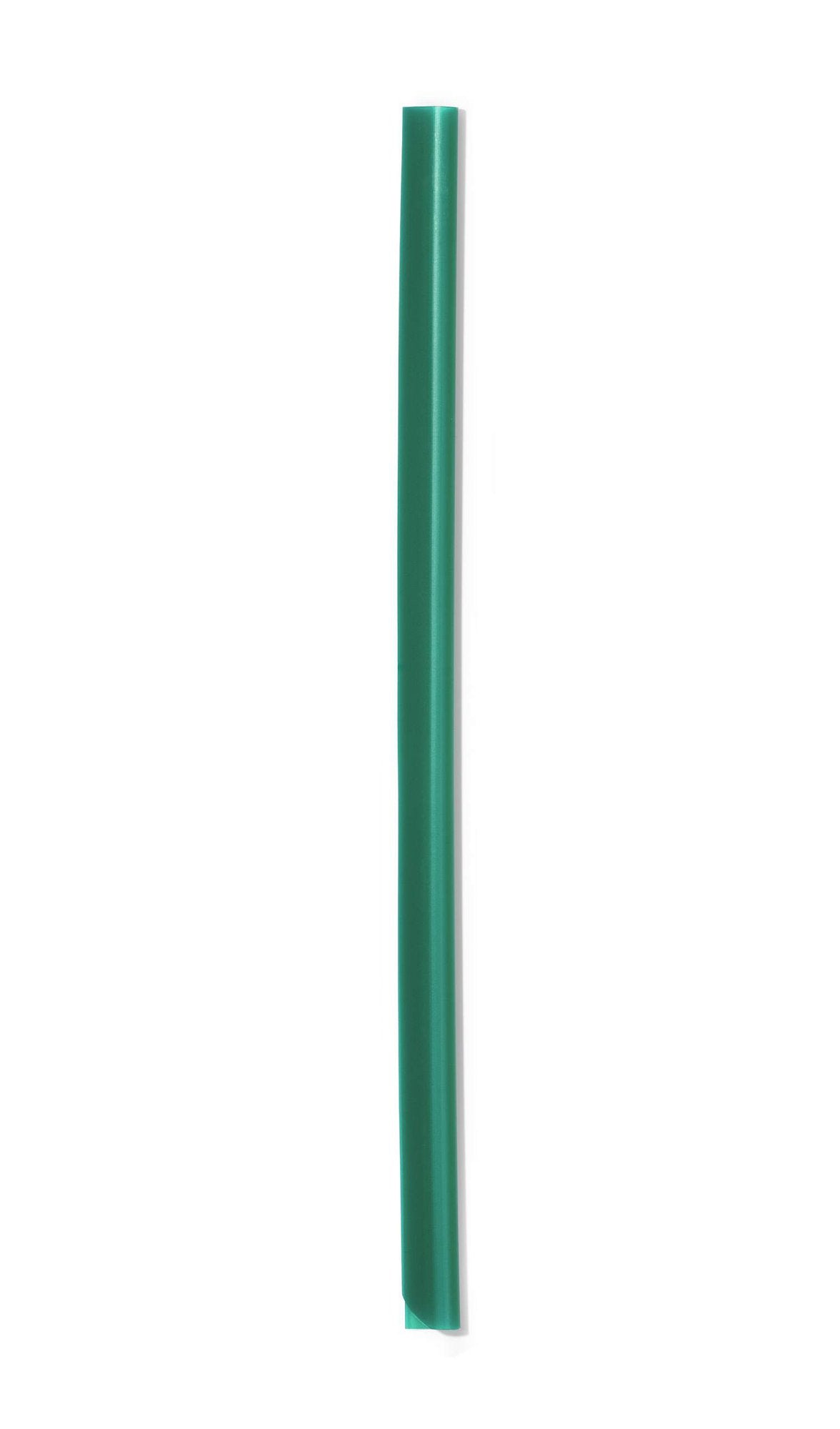 Durable SPINE BAR A4 6mm Green (50)