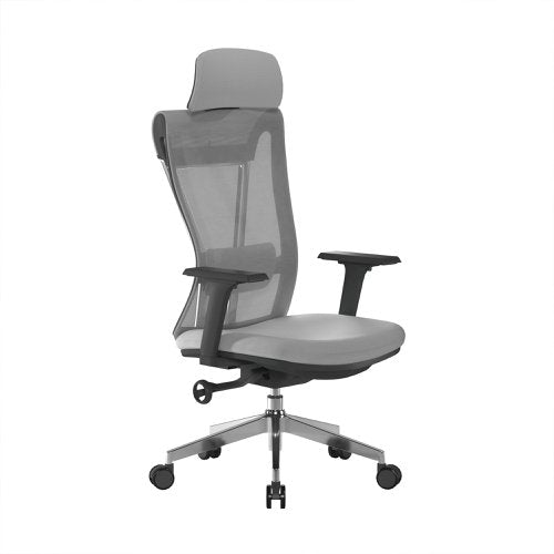 Nautilus Designs Moritz High Back Mesh Ergonomic Executive Chair With Adjustable Arms & Headrest Grey - Certified for 24 Hour Use - BCM/M355/GY DD