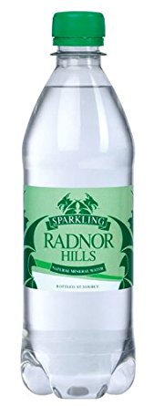 Radnor Hills Sparkling Bottled Water 500ml (Pack 24) - 0201036