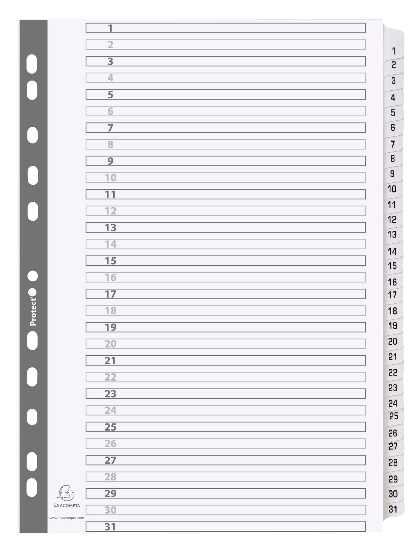 Exacompta Mylar Printed 160 GSM Indices A4 31 Part, 1 to 31 Numbered Tabs