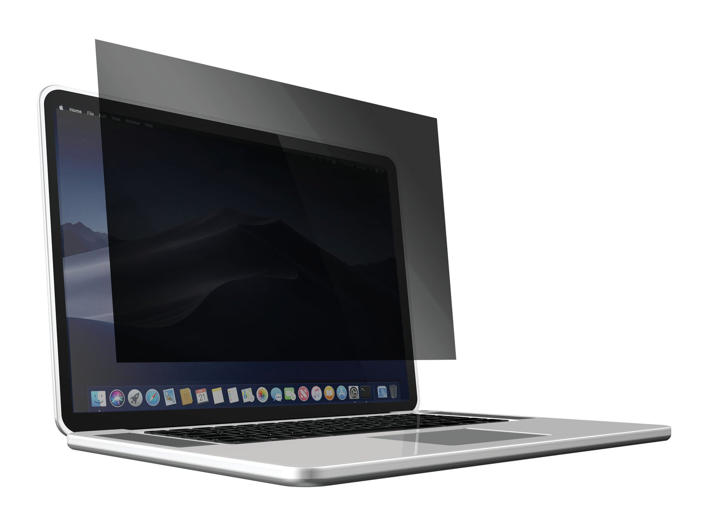 ValueX Privacy Screen Filter for 17.0in Laptops 5:4 - 25360AC